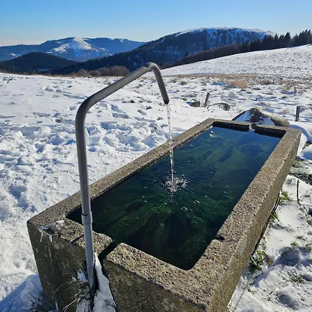Le Coup De Soleil * Gérardmer